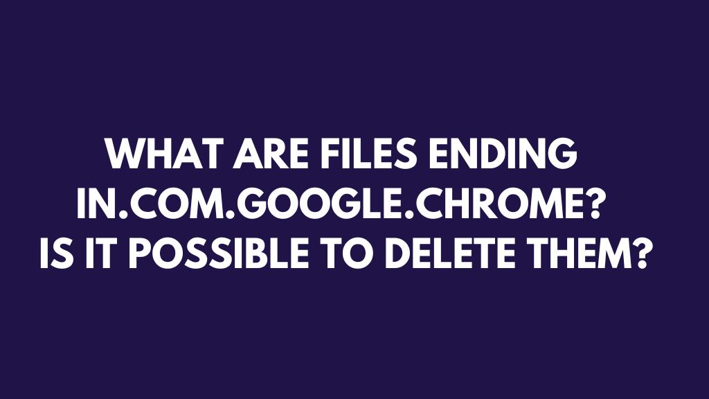 .com.google.chrome files